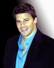 This is an image of 257780 David Boreanaz Photograph & Poster