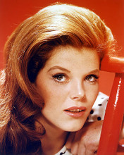 This is an image of 257845 Samantha Eggar Photograph & Poster