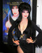 This is an image of 257850 Elvira Photograph & Poster
