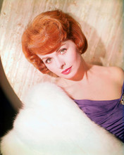 This is an image of 262725 Jeanne Crain Photograph & Poster