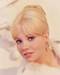This is an image of 262832 Hayley Mills Photograph & Poster