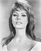 This is an image of 174012 Sophia Loren Photograph & Poster