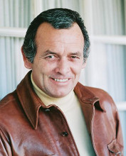 This is an image of 253058 David Janssen Photograph & Poster