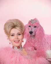 This is an image of 259009 Zsa Zsa Gabor Photograph & Poster