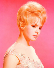 This is an image of 259438 Joey Heatherton Photograph & Poster