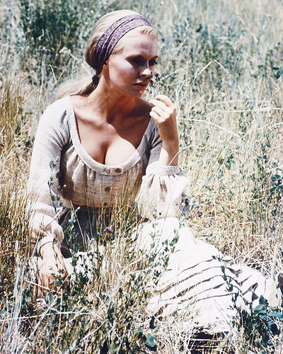 This is an image of 259486 Virna Lisi Photograph & Poster