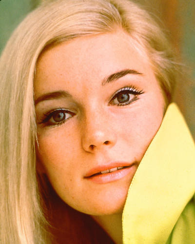 This is an image of 259528 Yvette Mimieux Photograph & Poster