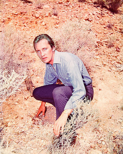 This is an image of 261422 Roy Thinnes Photograph & Poster