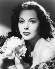 This is an image of 174878 Hedy Lamarr Photograph & Poster