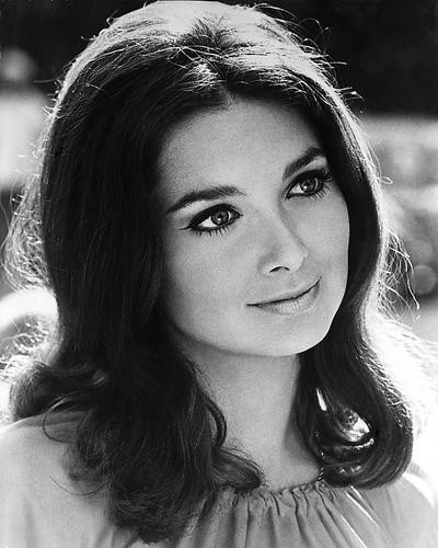 This is an image of 175155 Suzanne Pleshette Photograph & Poster