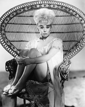 This is an image of 175231 Barbara Windsor Photograph & Poster