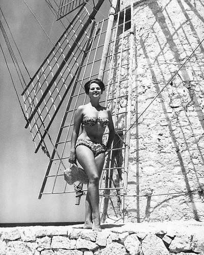 This is an image of 175349 Claudia Cardinale Photograph & Poster