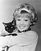 This is an image of 175767 Hayley Mills Photograph & Poster