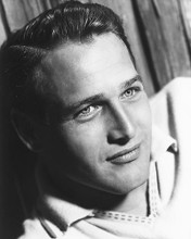 This is an image of 175784 Paul Newman Photograph & Poster