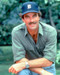 This is an image of 263687 Tom Selleck Photograph & Poster