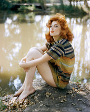 This is an image of 263786 Tina Louise Photograph & Poster