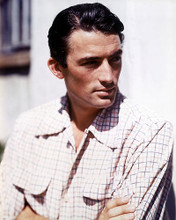 This is an image of 263812 Gregory Peck Photograph & Poster