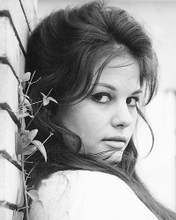 This is an image of 176177 Claudia Cardinale Photograph & Poster