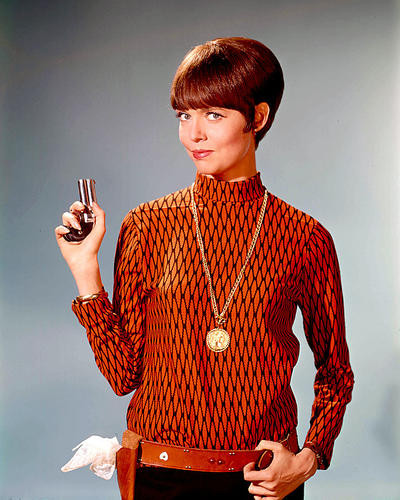 This is an image of 259988 Barbara Feldon Photograph & Poster