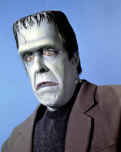 This is an image of 264024 Fred Gwynne Photograph & Poster