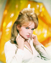 This is an image of 264027 Joey Heatherton Photograph & Poster