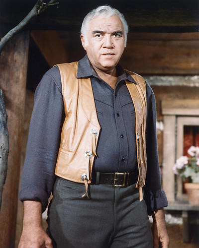 This is an image of 264464 Bonanza Photograph & Poster