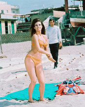 This is an image of 264727 Raquel Welch Photograph & Poster