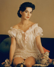 This is an image of 264735 Natalie Wood Photograph & Poster