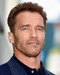 This is an image of 265364 Arnold Schwarzenegger Photograph & Poster