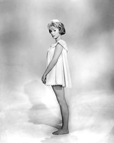 This is an image of 186099 Janet Leigh Photograph & Poster