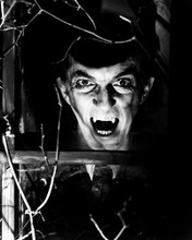 This is an image of 186329 Dark Shadows Photograph & Poster