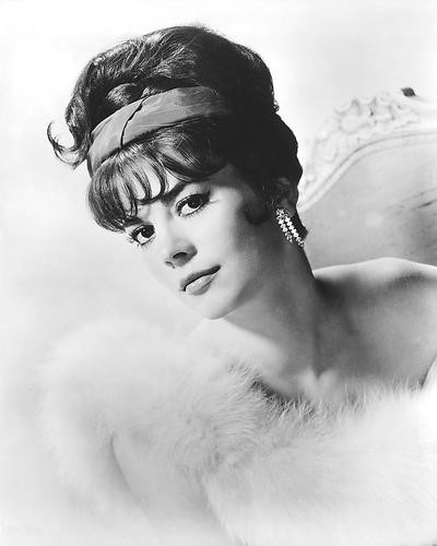 This is an image of 186417 Natalie Wood Photograph & Poster