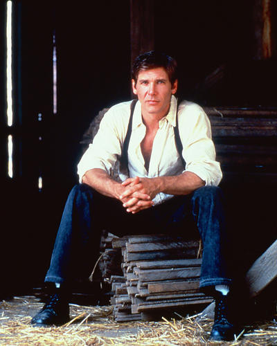 This is an image of 269628 Harrison Ford Photograph & Poster