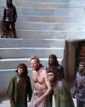 This is an image of 269823 Planet of the Apes Photograph & Poster