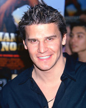 This is an image of 269987 David Boreanaz Photograph & Poster