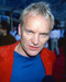 This is an image of 271329 Sting Photograph & Poster