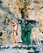This is an image of 271721 Planet of the Apes Photograph & Poster