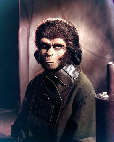 This is an image of 271756 Planet of the Apes Photograph & Poster