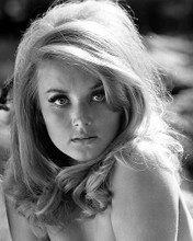 This is an image of 186571 Barbara Bouchet Photograph & Poster