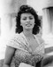 This is an image of 186633 Sophia Loren Photograph & Poster