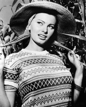 This is an image of 186635 Sophia Loren Photograph & Poster