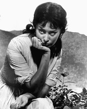 This is an image of 186637 Sophia Loren Photograph & Poster
