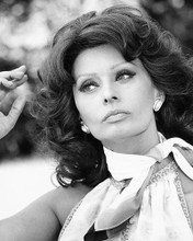This is an image of 186642 Sophia Loren Photograph & Poster