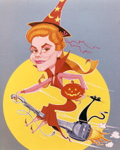 This is an image of 272205 Bewitched Photograph & Poster