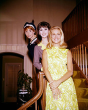 This is an image of 272207 Bewitched Photograph & Poster