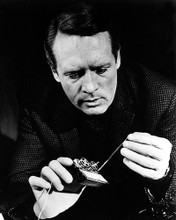 This is an image of 187690 Patrick McGoohan Photograph & Poster