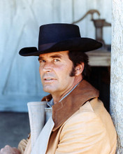 This is an image of 274226 James Garner Photograph & Poster