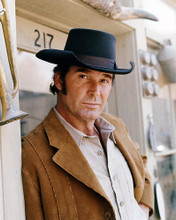 This is an image of 274229 James Garner Photograph & Poster