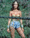 This is an image of 274327 Lynda Carter Photograph & Poster