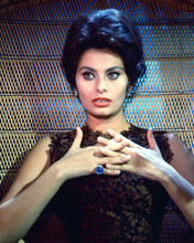 This is an image of 274389 Sophia Loren Photograph & Poster